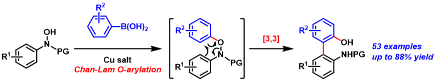 芳基硼酸-王敏.png
