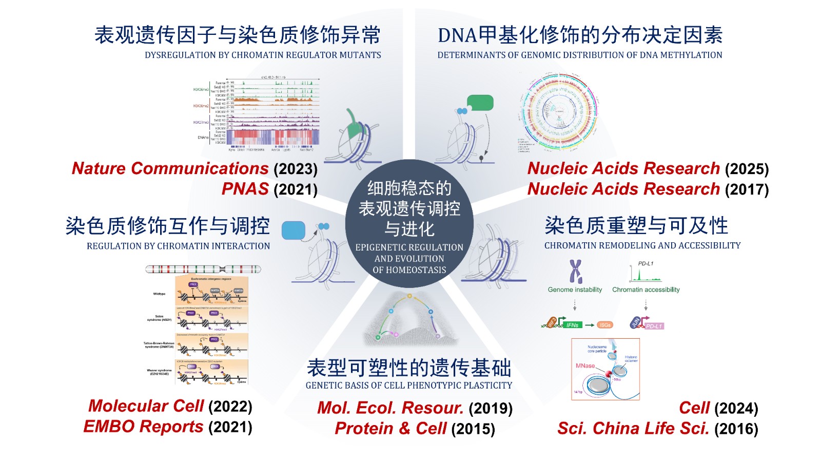 成果汇总-表观遗传.jpg