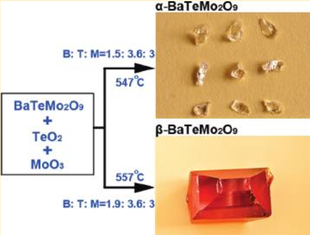 Screen Shot 2022-08-21 at 10.44.56.png