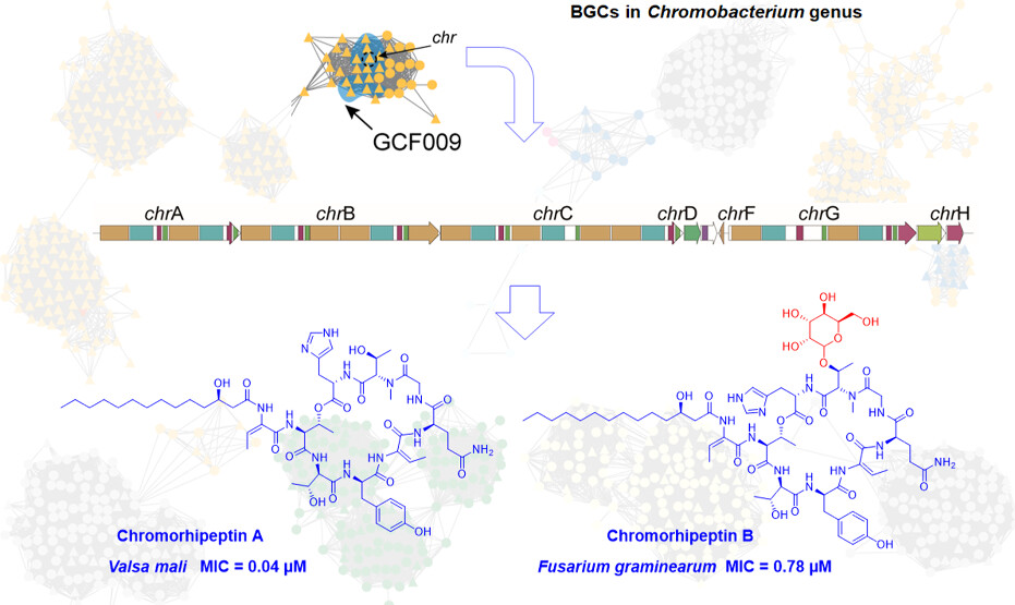 images_large_jf5c04892_0006.jpeg images_large_jf5c04892_0006.jpeg
