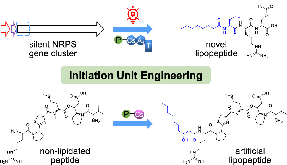 images_large_ja6c01193_0010.jpeg images_large_ja6c01193_0010.jpeg