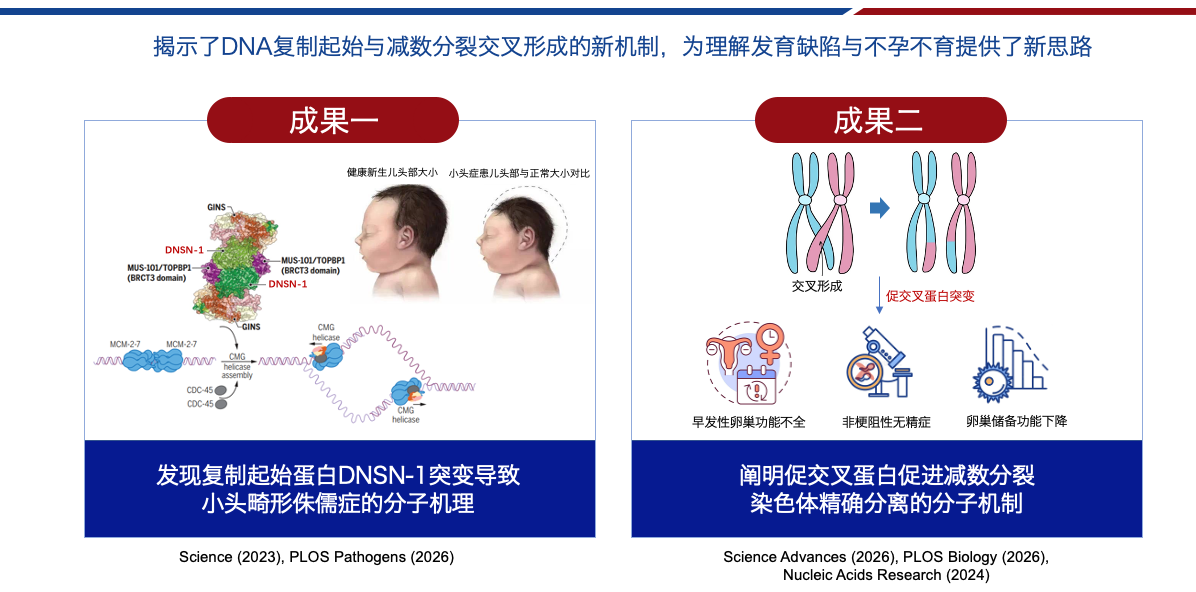 屏幕快照 2026-08-06 16.15.06.png