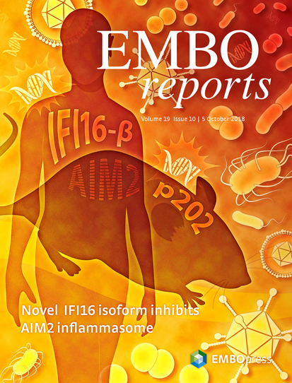 embo rep.png