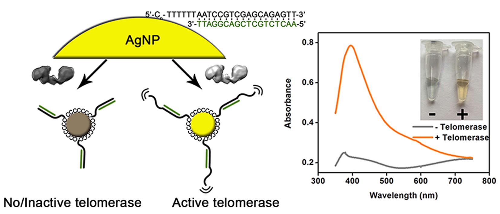 Talanta-AgNPs.jpg
