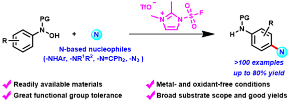 对位胺化-白雅茹.png