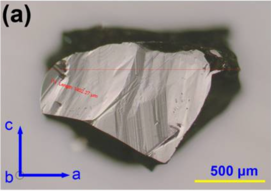 Screen Shot 2022-08-21 at 10.59.09.png