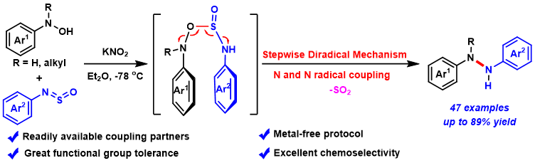 N-N偶联-李林蔚.png