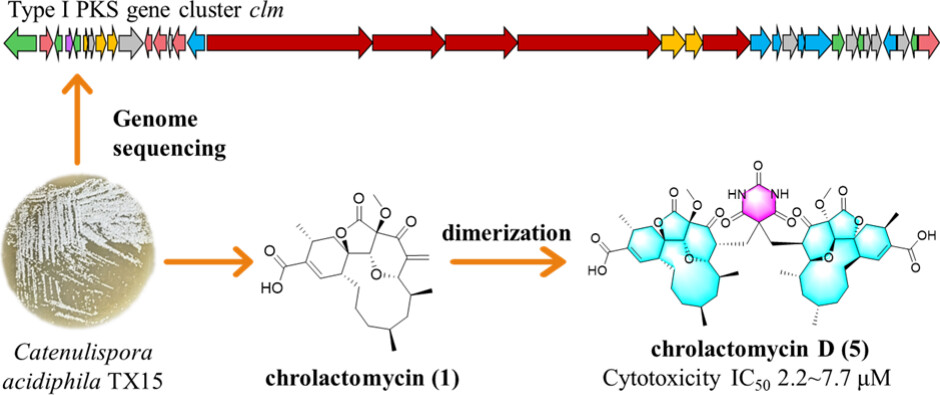 images_large_ol5c02941_0004.jpeg images_large_ol5c02941_0004.jpeg
