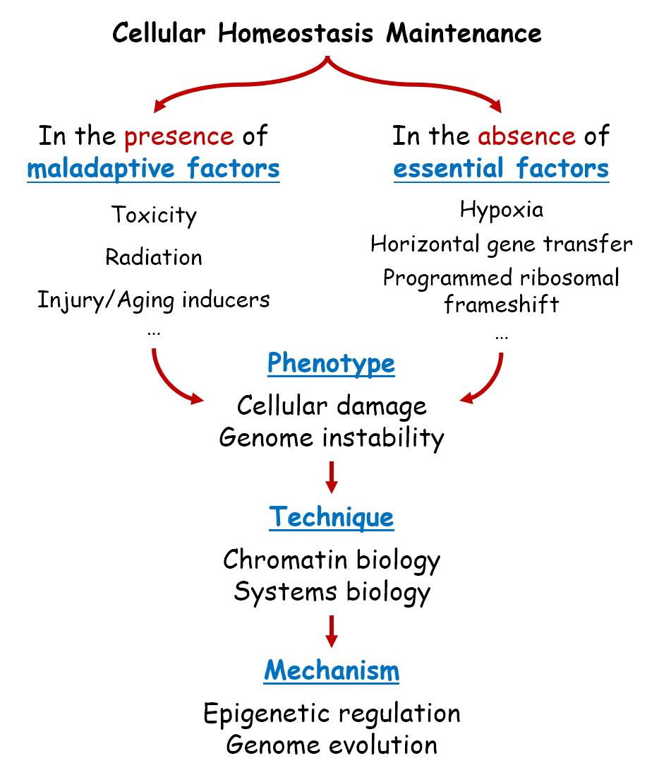 Research.interest-2026.jpg Research.interest-2026.jpg