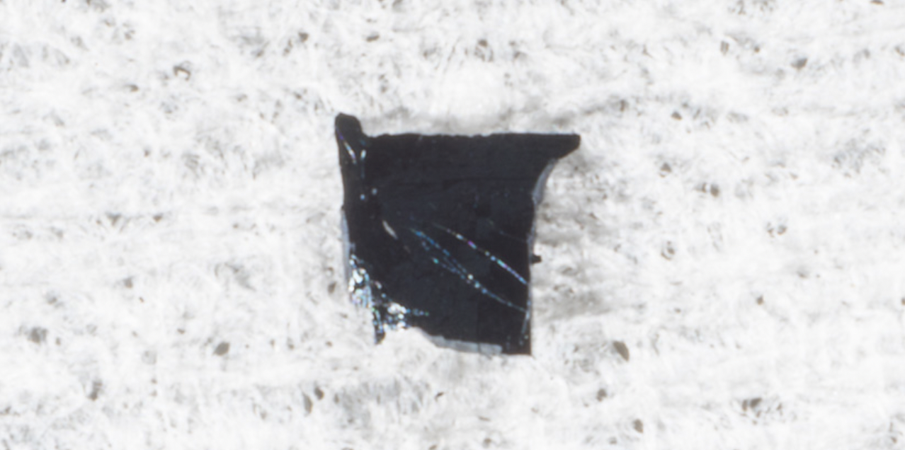 Screen Shot 2022-08-21 at 10.53.18.png