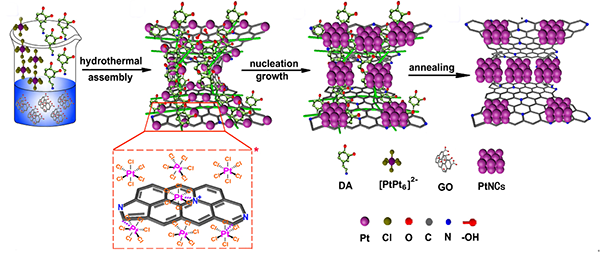 fig14-PtNCs生成机理图.png
