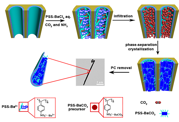 fig16-New J Chem-2018-42-1585.png