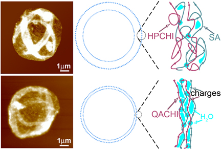 fig7-QACS_HPCS.png