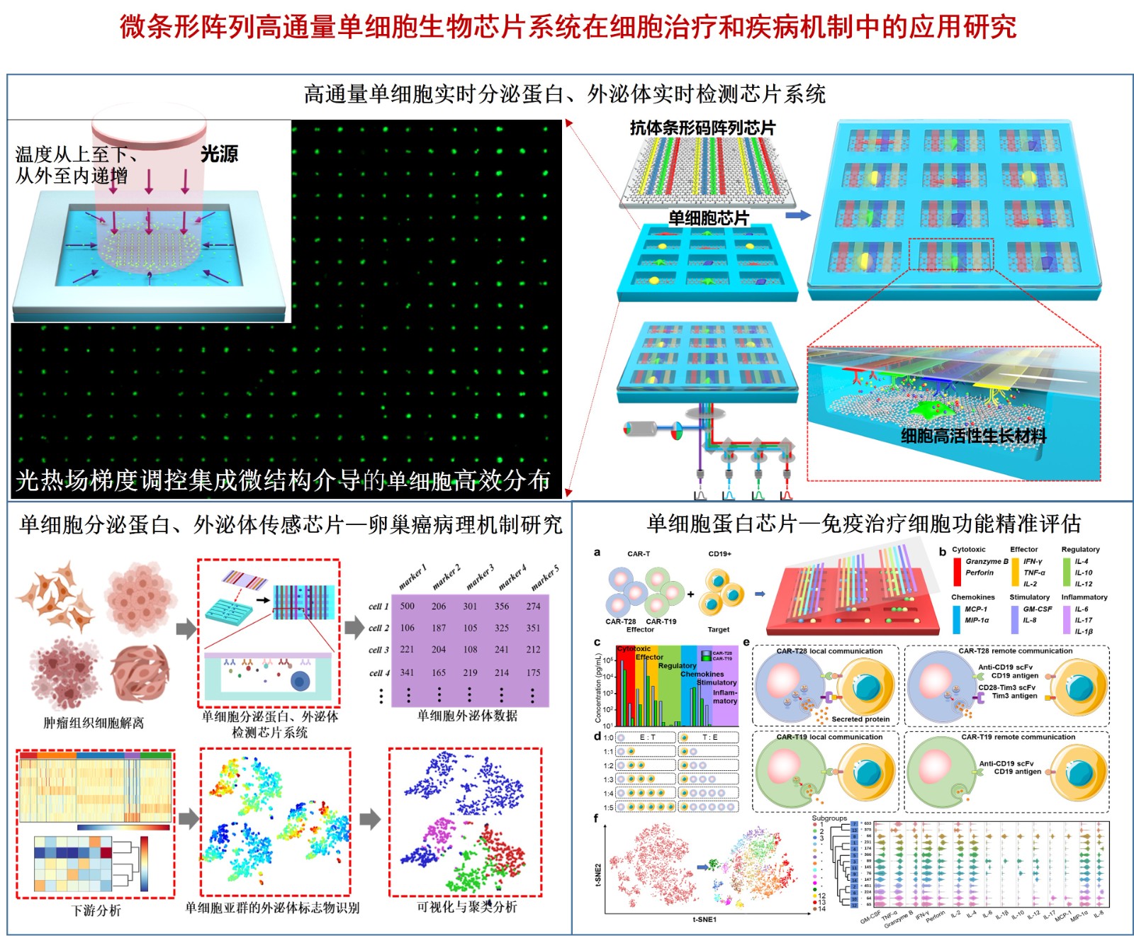 图片8.jpg