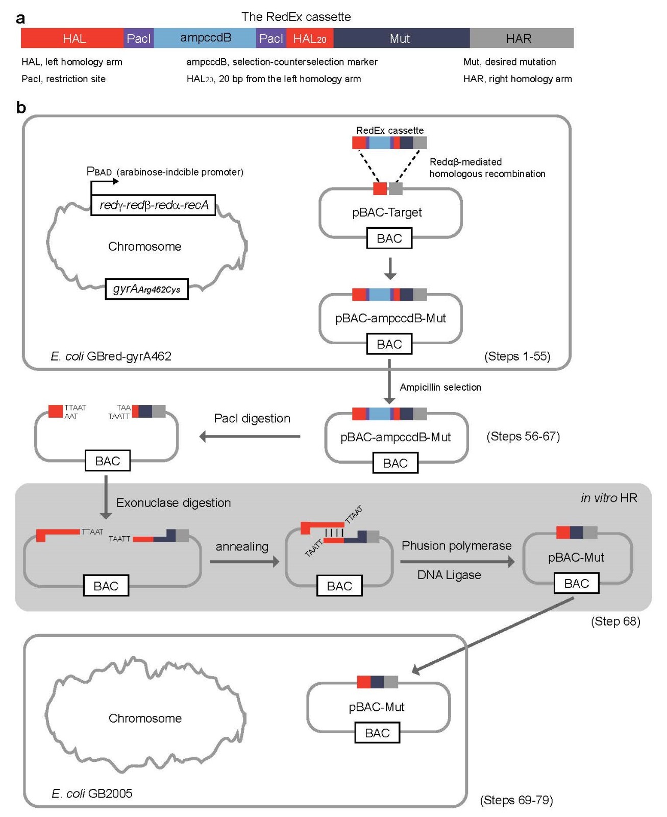 Figure 1 新.jpg