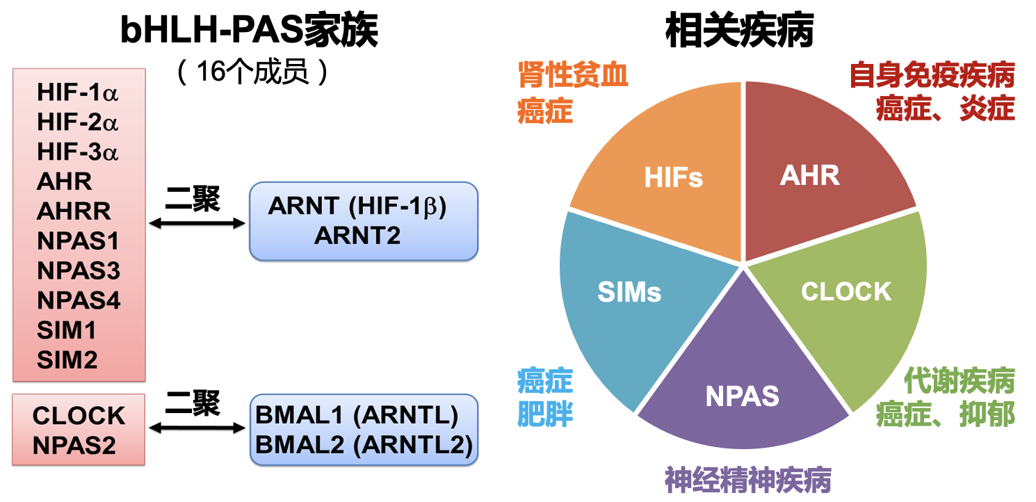 截屏2024-07-10 20.52.04.png