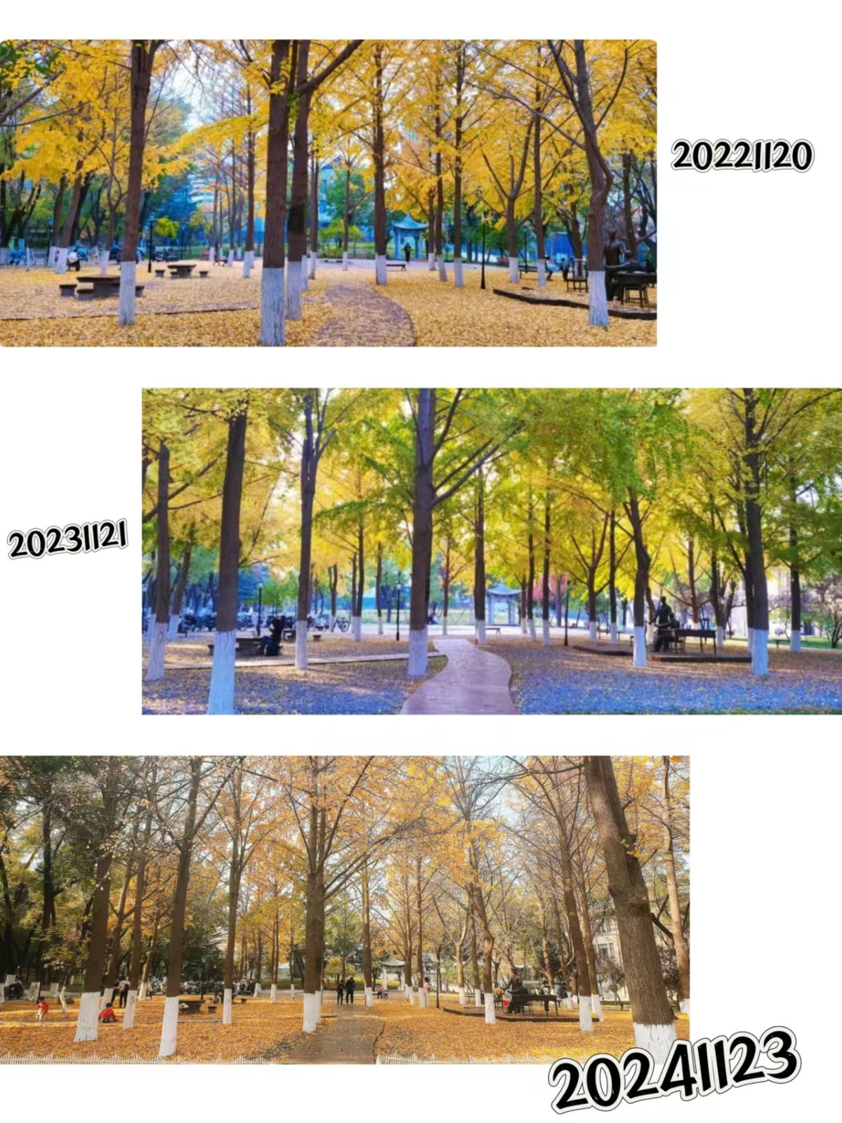 微信图片_20241125135204.jpg