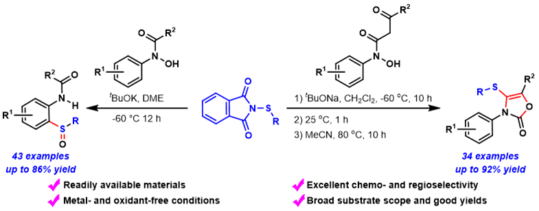 保护基控制-郭召全.png